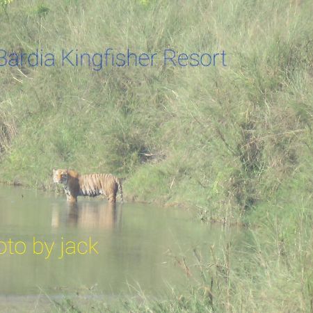 Dhakela Bardia Kingfisher Resort מראה חיצוני תמונה