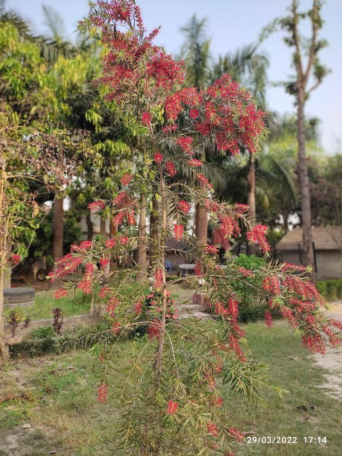 Dhakela Bardia Kingfisher Resort מראה חיצוני תמונה