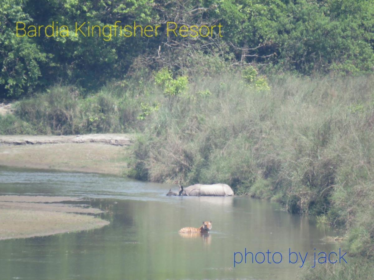 Dhakela Bardia Kingfisher Resort מראה חיצוני תמונה