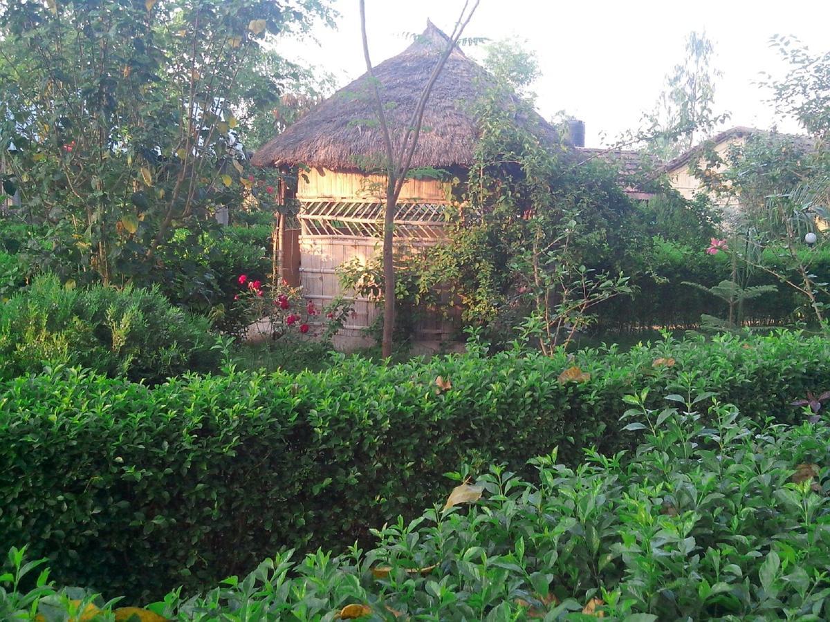 Dhakela Bardia Kingfisher Resort חדר תמונה
