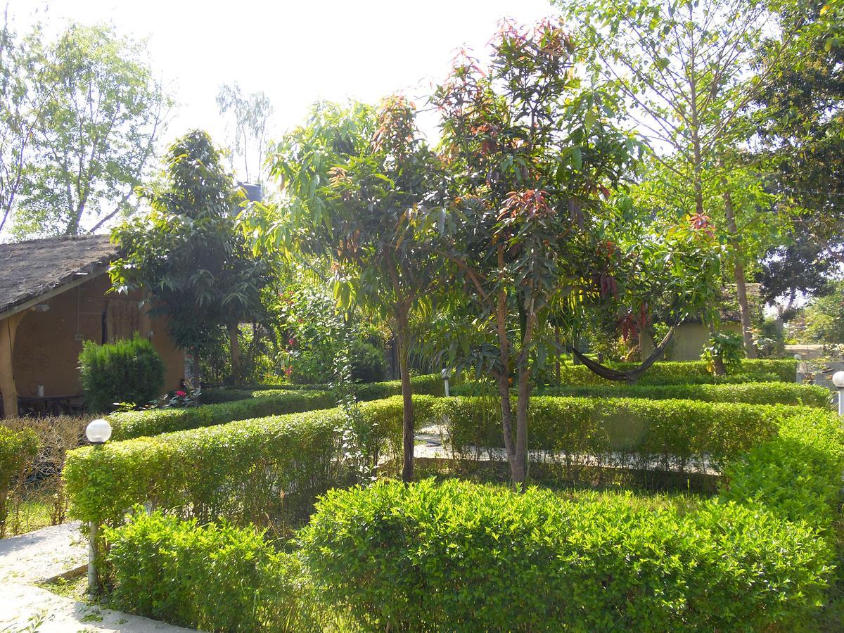 Dhakela Bardia Kingfisher Resort מראה חיצוני תמונה