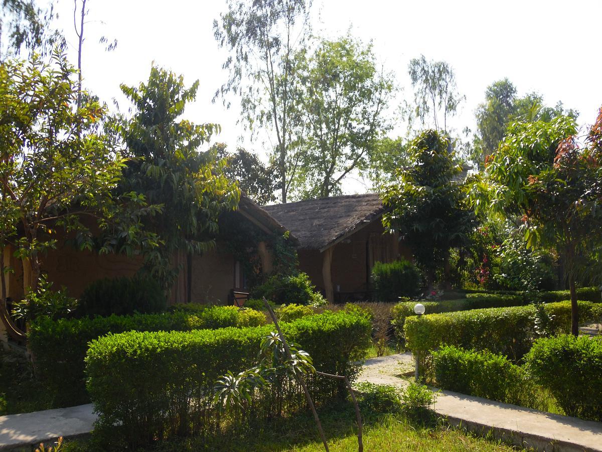 Dhakela Bardia Kingfisher Resort מראה חיצוני תמונה